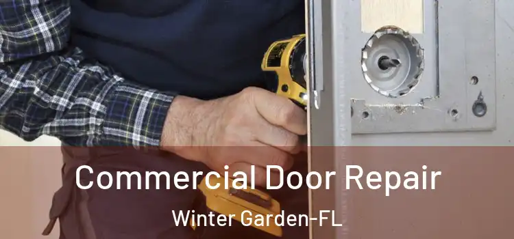  Commercial Door Repair Winter Garden-FL