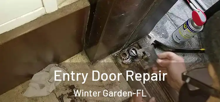 Entry Door Repair Winter Garden-FL