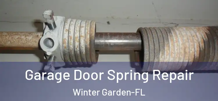  Garage Door Spring Repair Winter Garden-FL