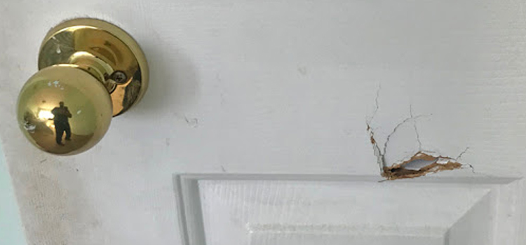 interior door hole repair Winter Garden