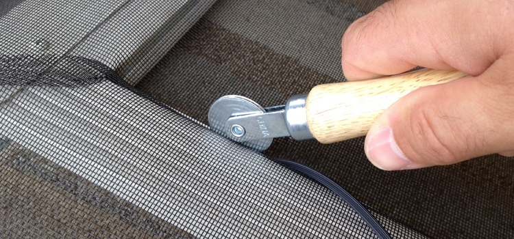metal screen door repair in Winter Garden