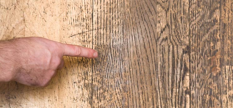 Wood Door Scratch Repair in Winter Garden