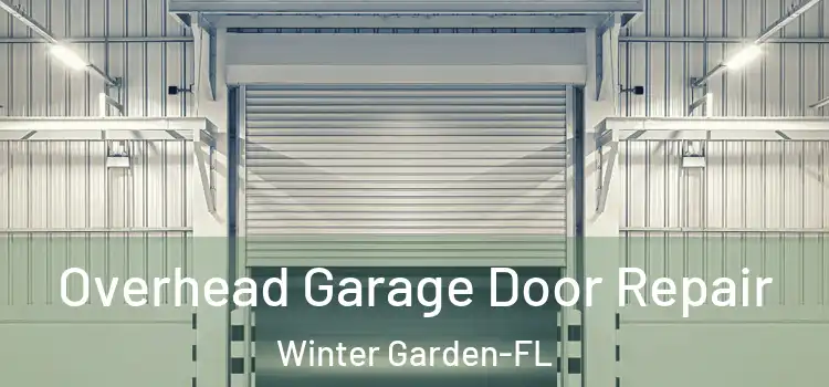  Overhead Garage Door Repair Winter Garden-FL