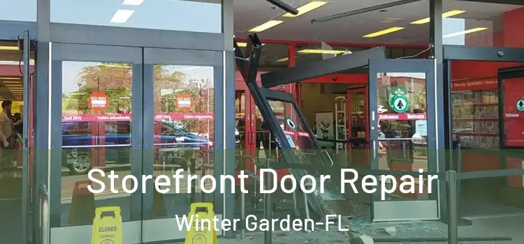  Storefront Door Repair Winter Garden-FL